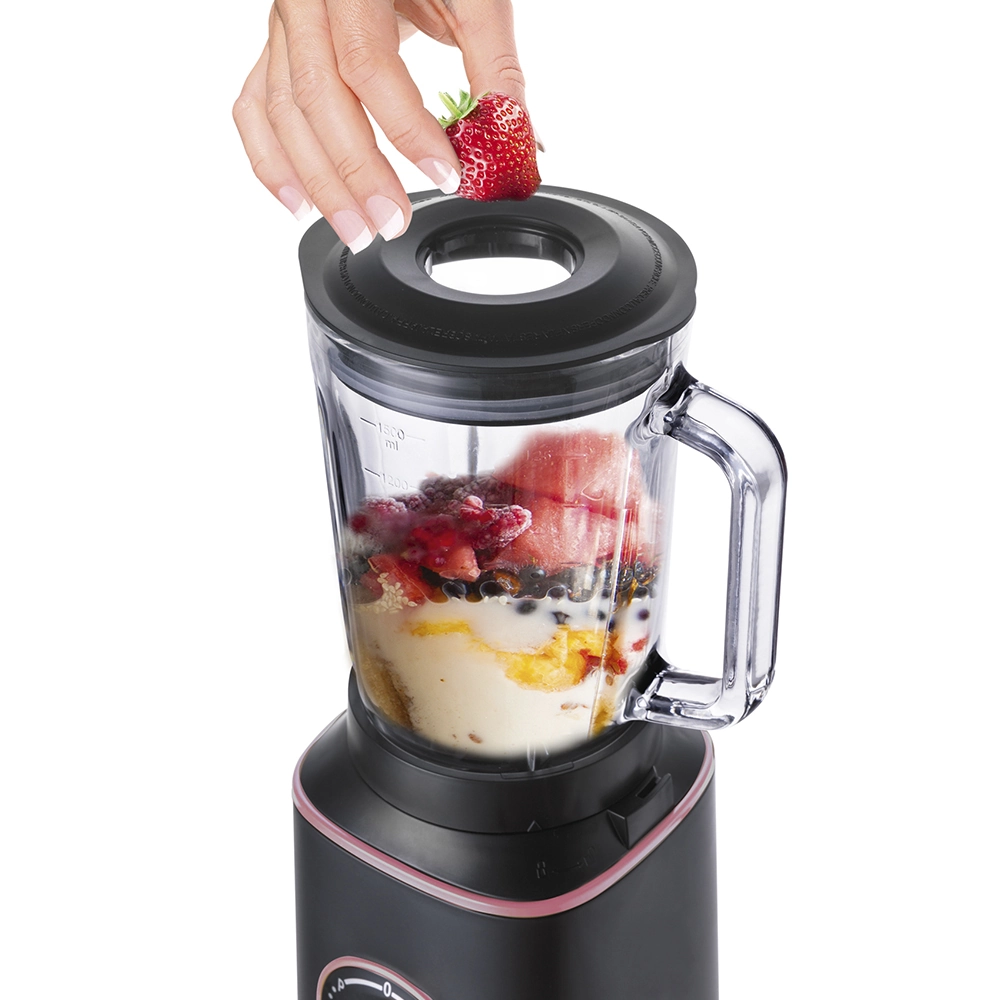 Zigmund Shtain BS-442 D.1