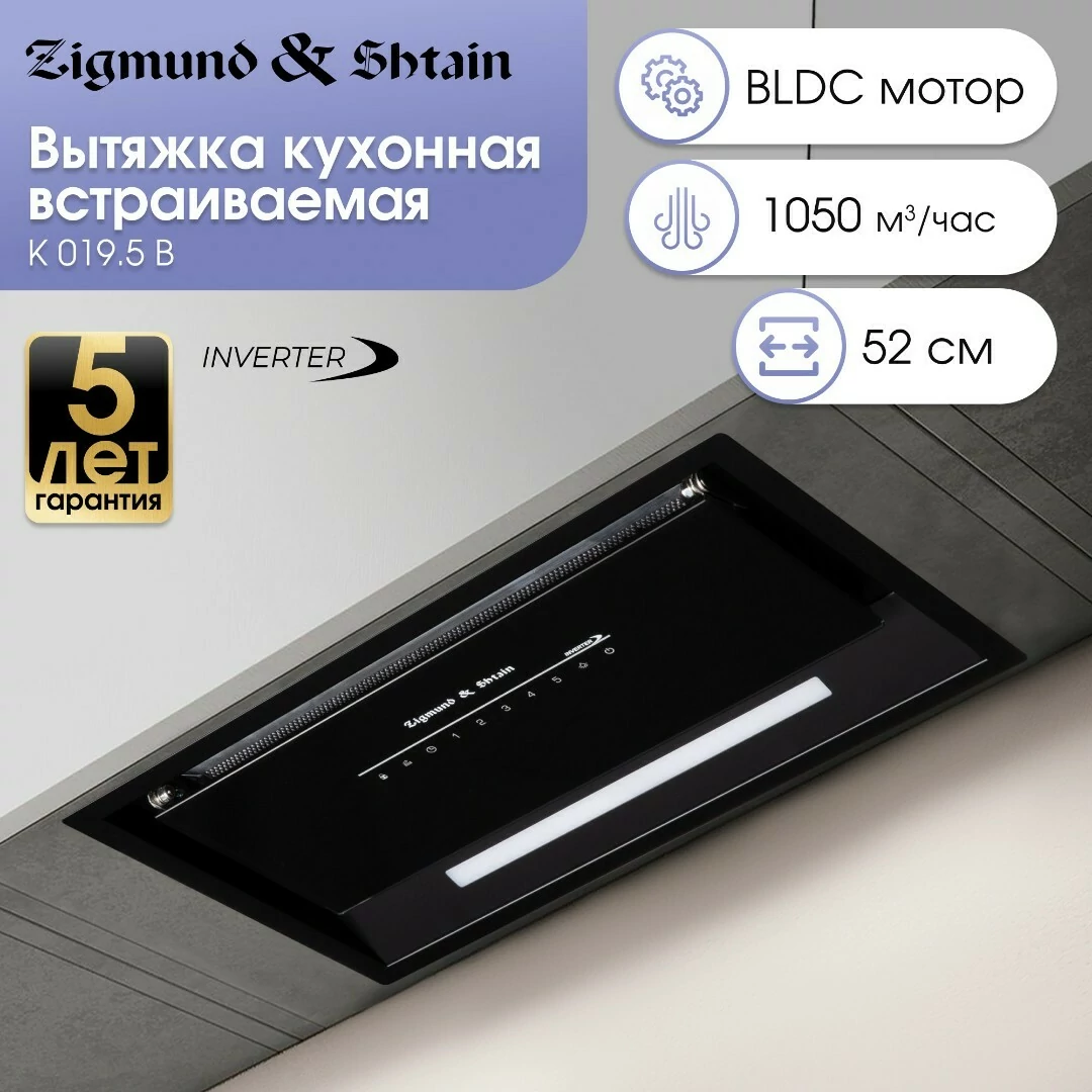 Zigmund Shtain K 019.5 B.5