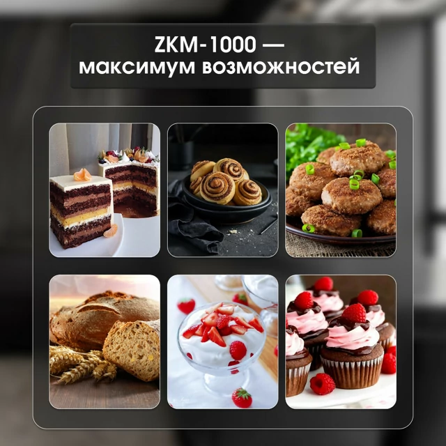 Zigmund Shtain ZKM-1000.8