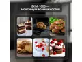 Zigmund Shtain ZKM-1000.8