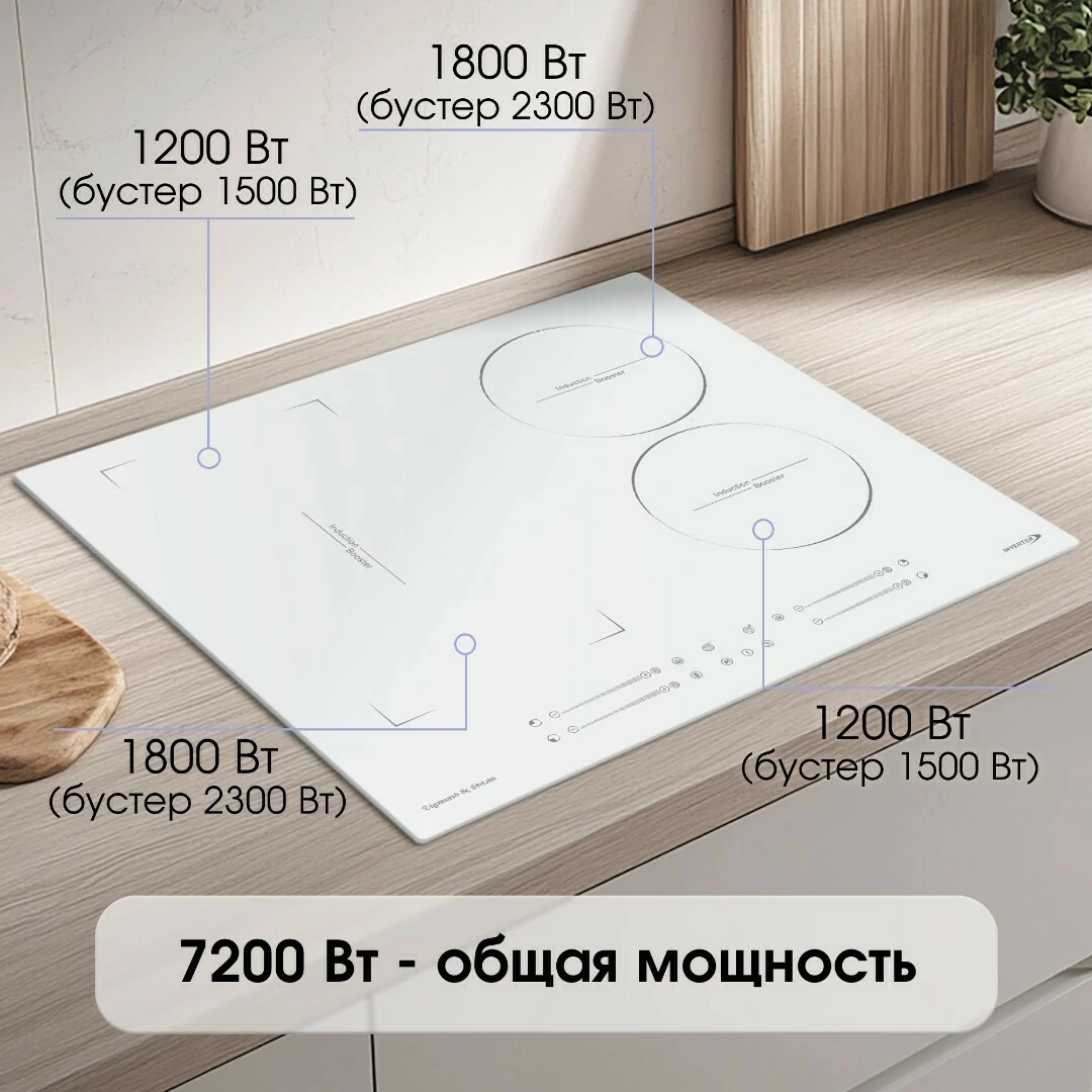 Zigmund Shtain CI 49.6 W.2