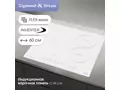 Zigmund Shtain CI 49.6 W.1