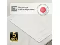 Zigmund Shtain CI 69.6 I.8