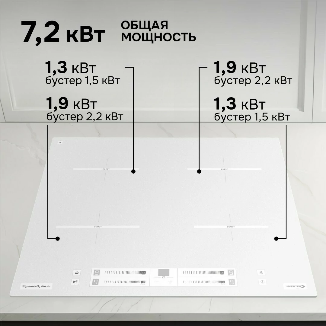Zigmund Shtain CI 23.6 W.8