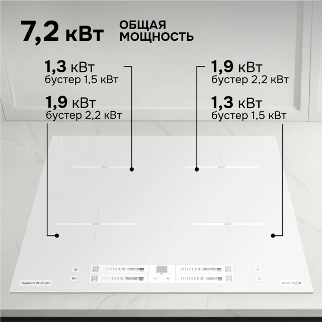 Zigmund Shtain CI 23.6 W.8