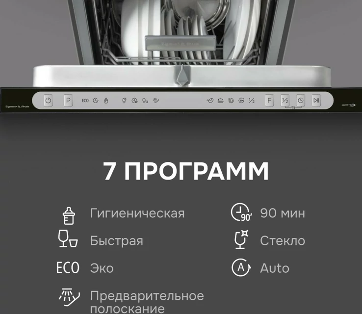 Zigmund Shtain DW 312.4.10