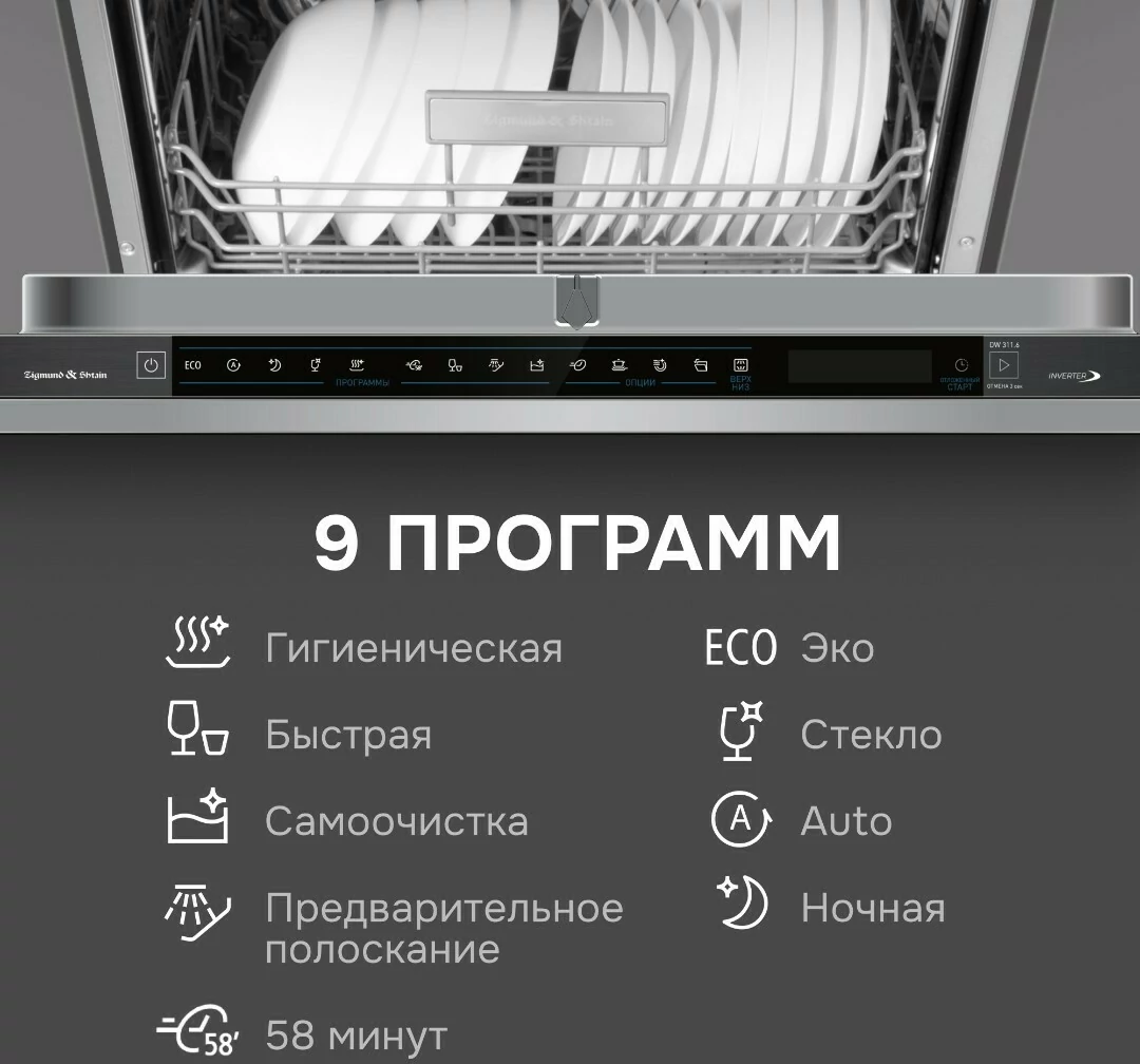 Zigmund Shtain DW 311.6.6