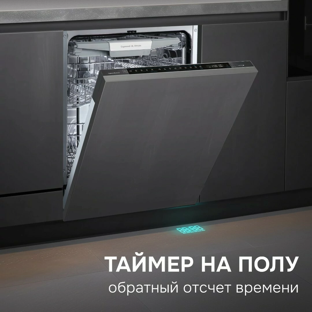 Zigmund Shtain DW 311.6.13