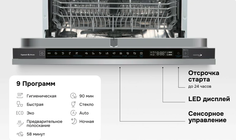 Zigmund Shtain DW 311.6.9