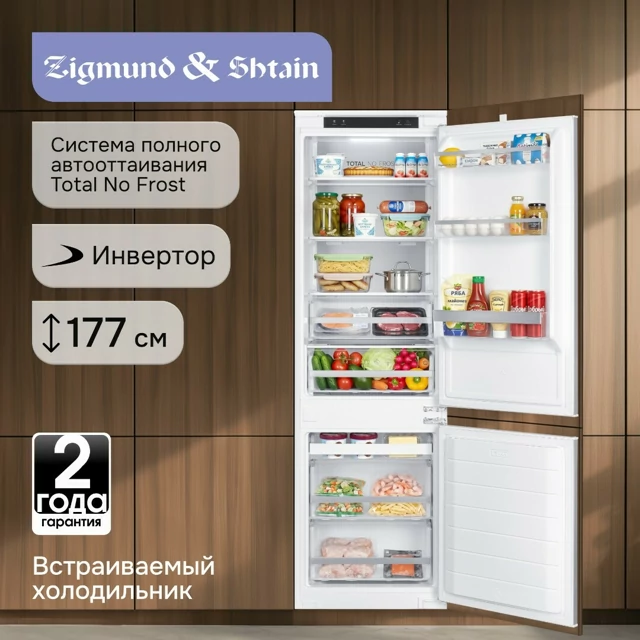 Zigmund Shtain BR 23 X.3