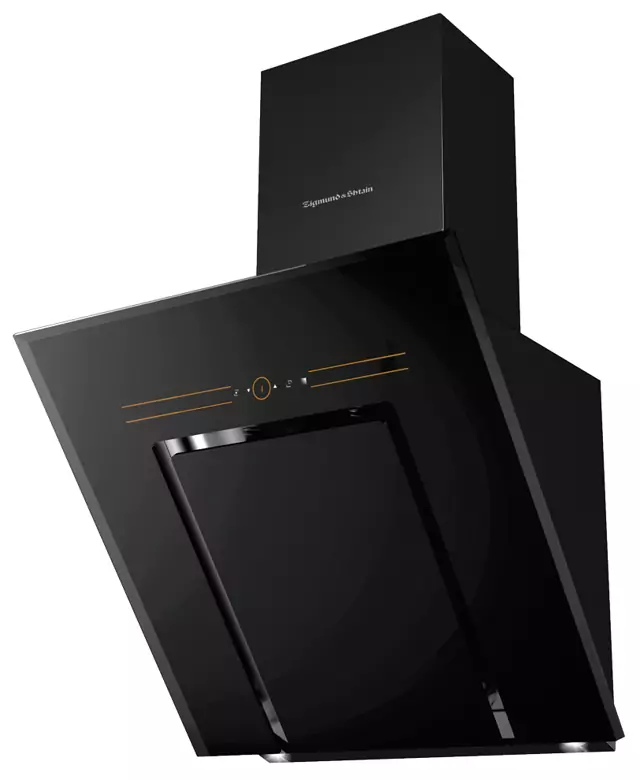 Zigmund Shtain K 218.91 B.0